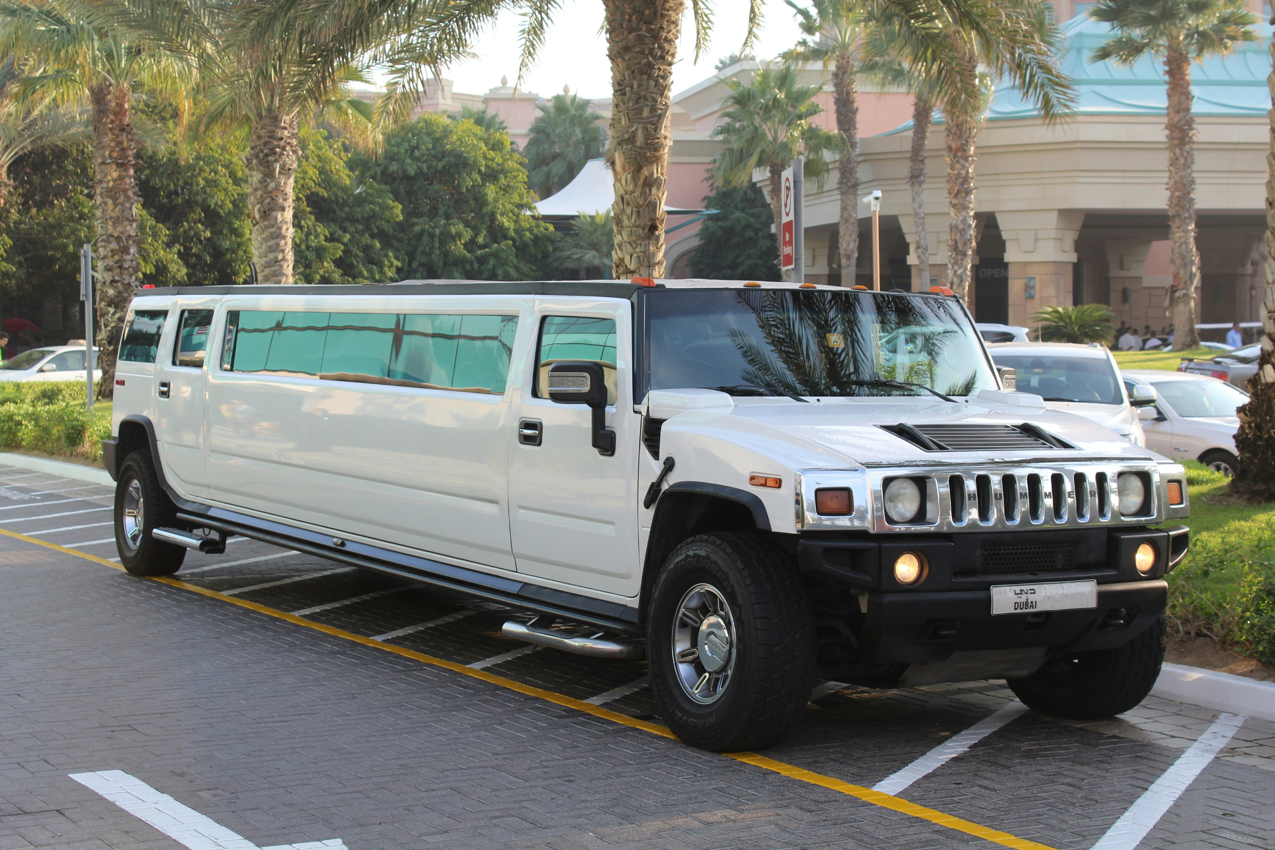 VIP Limousine